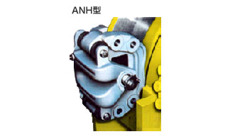 ANH^